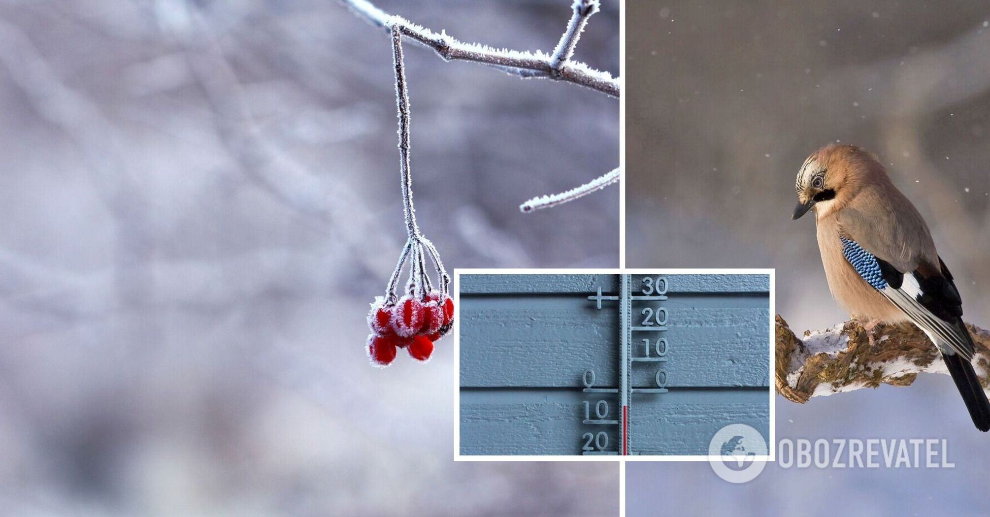 Cold snap and snow to hit Ukraine: weather forecaster names dates for sharp weather change