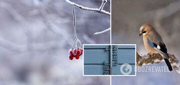 Cold snap and snow to hit Ukraine: weather forecaster names dates for sharp weather change