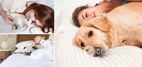 Why pets should not be allowed in bed: scientists' answer