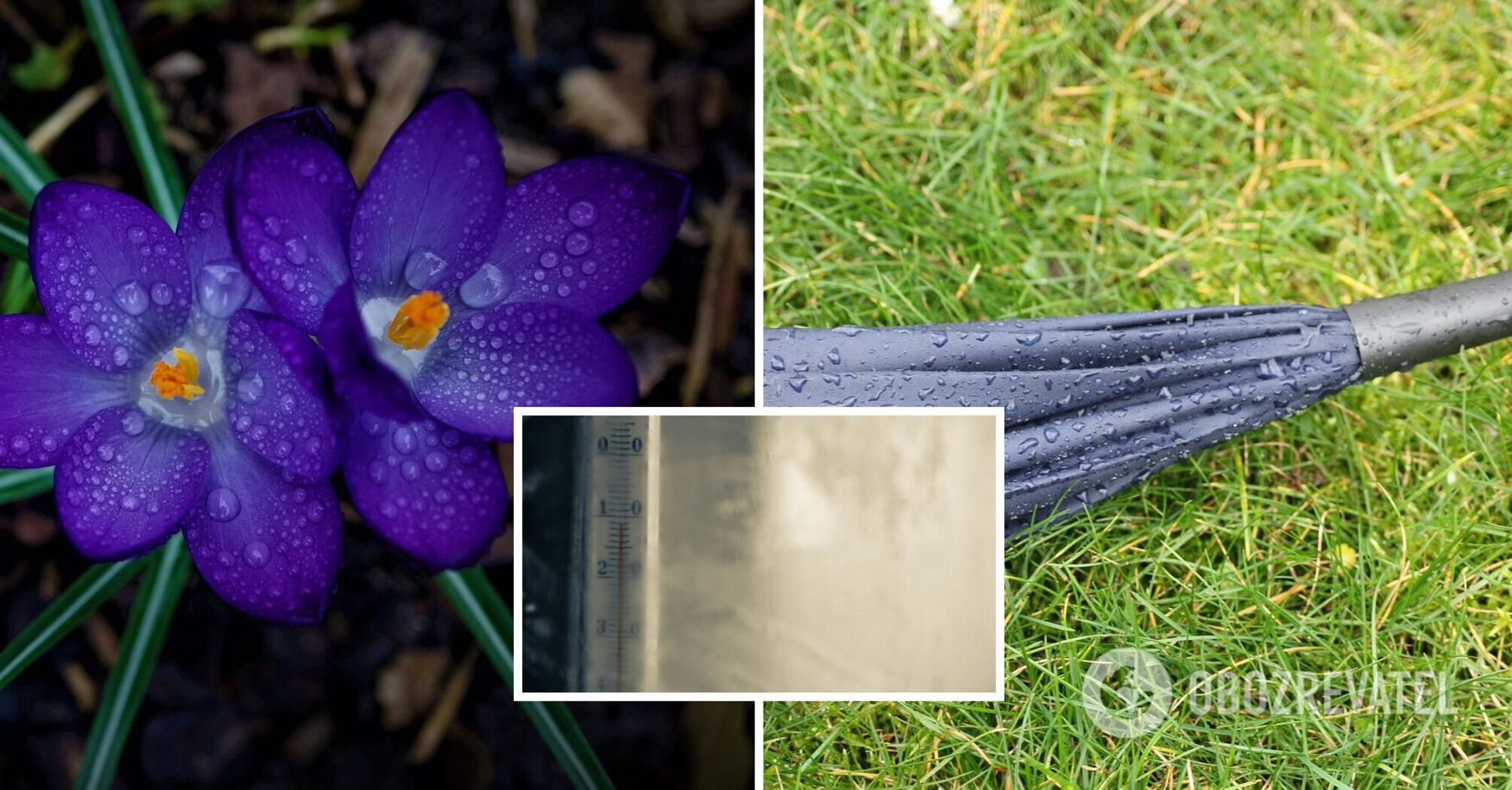 +20°C in some places: the weekend will bring the first spring warmth before a new wave of cooling. Map.