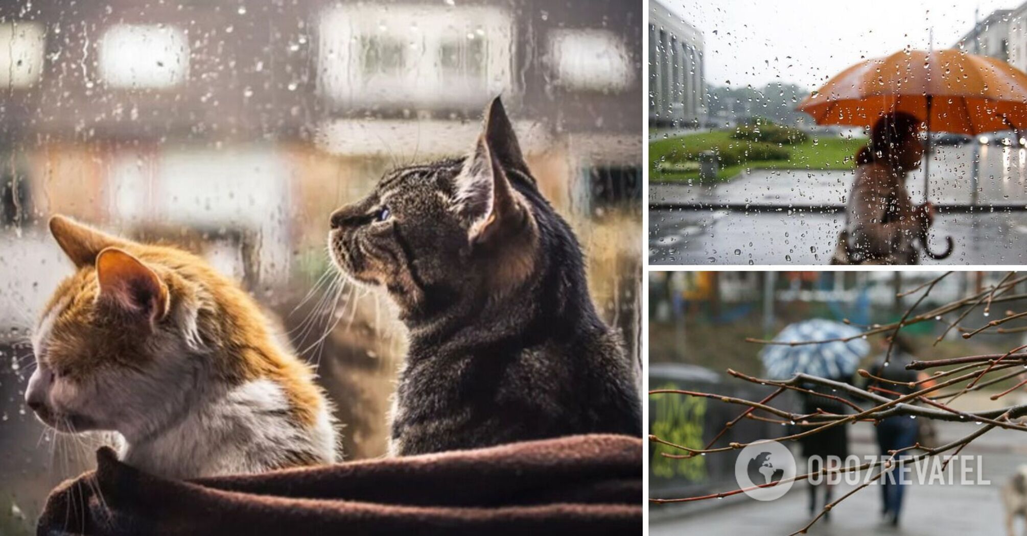 Spring rain and temperatures up to +19: what the weather in Ukraine will be like on Sunday