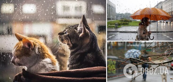 Spring rain and temperatures up to +19: what the weather in Ukraine will be like on Sunday