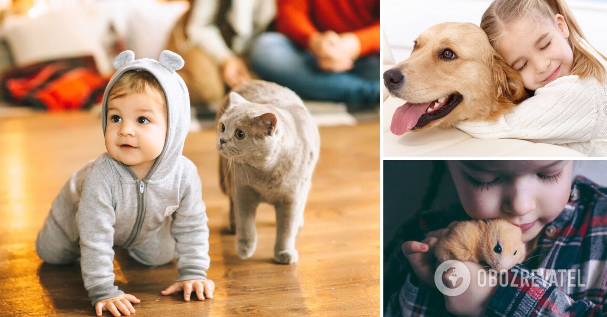 What kind of pet is better for children: who won't hurt