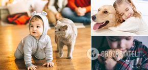 What kind of pet is better for children: who won't hurt