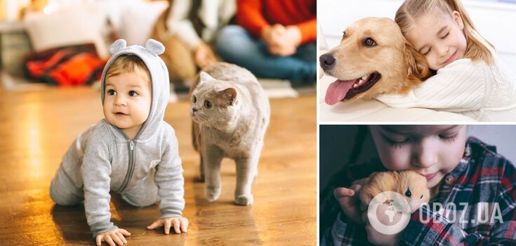 What kind of pet is better for children: who won't hurt