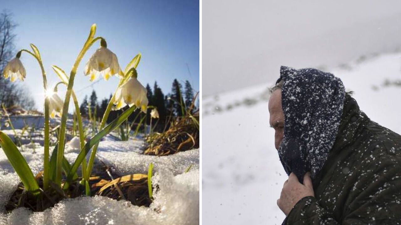 Frosts down to -12 and snow in Ukraine: weather forecaster warned of weather changes and told where it would be coldest