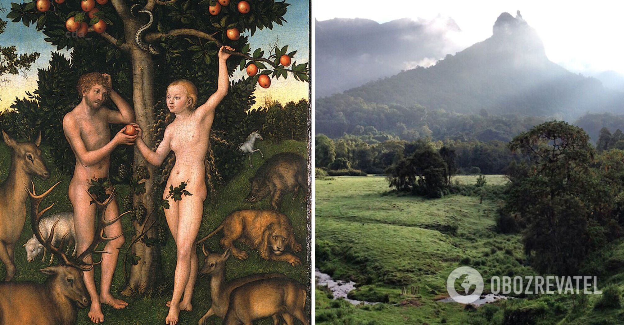 Where paradise may be located: scientists have made a bold assumption