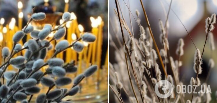 What not to do on Palm Sunday: folk prohibitions and signs