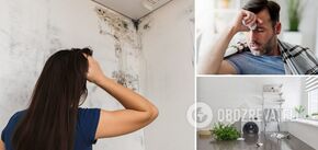 How to easily get rid of mould in an apartment: five ways without chemicals