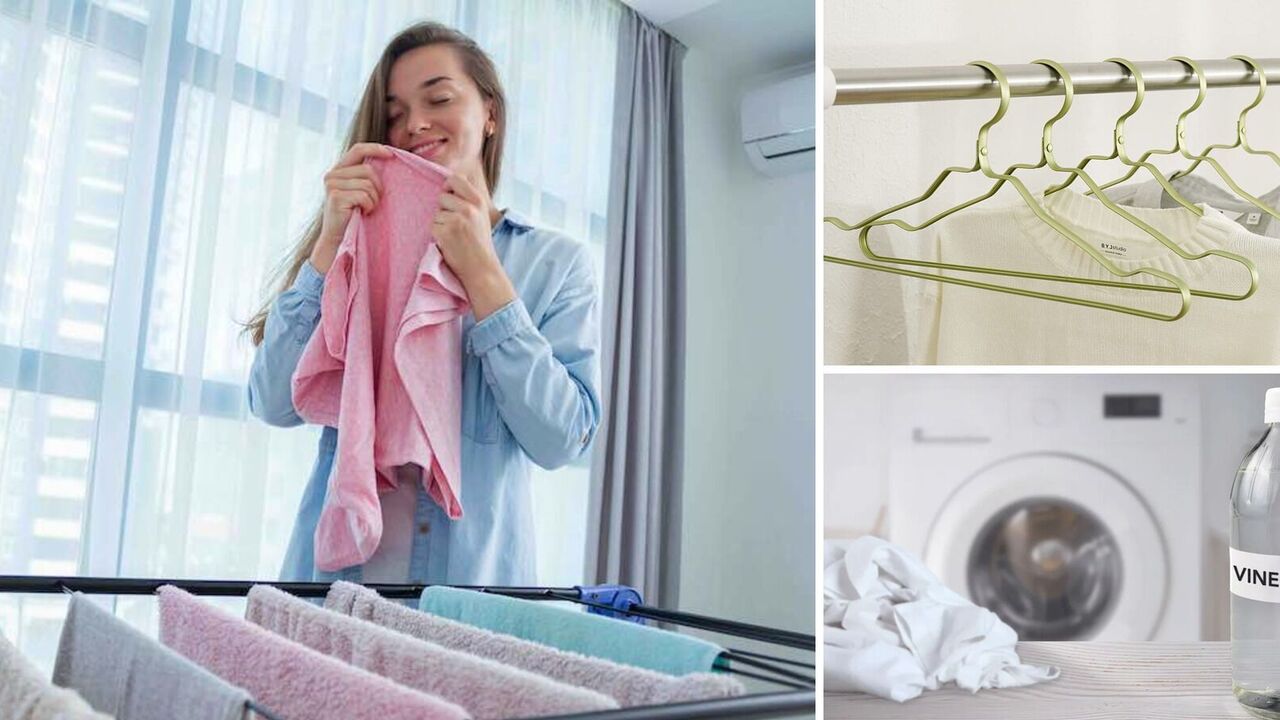 How to dry clothes so that there is no smell of dampness: the secret is revealed online