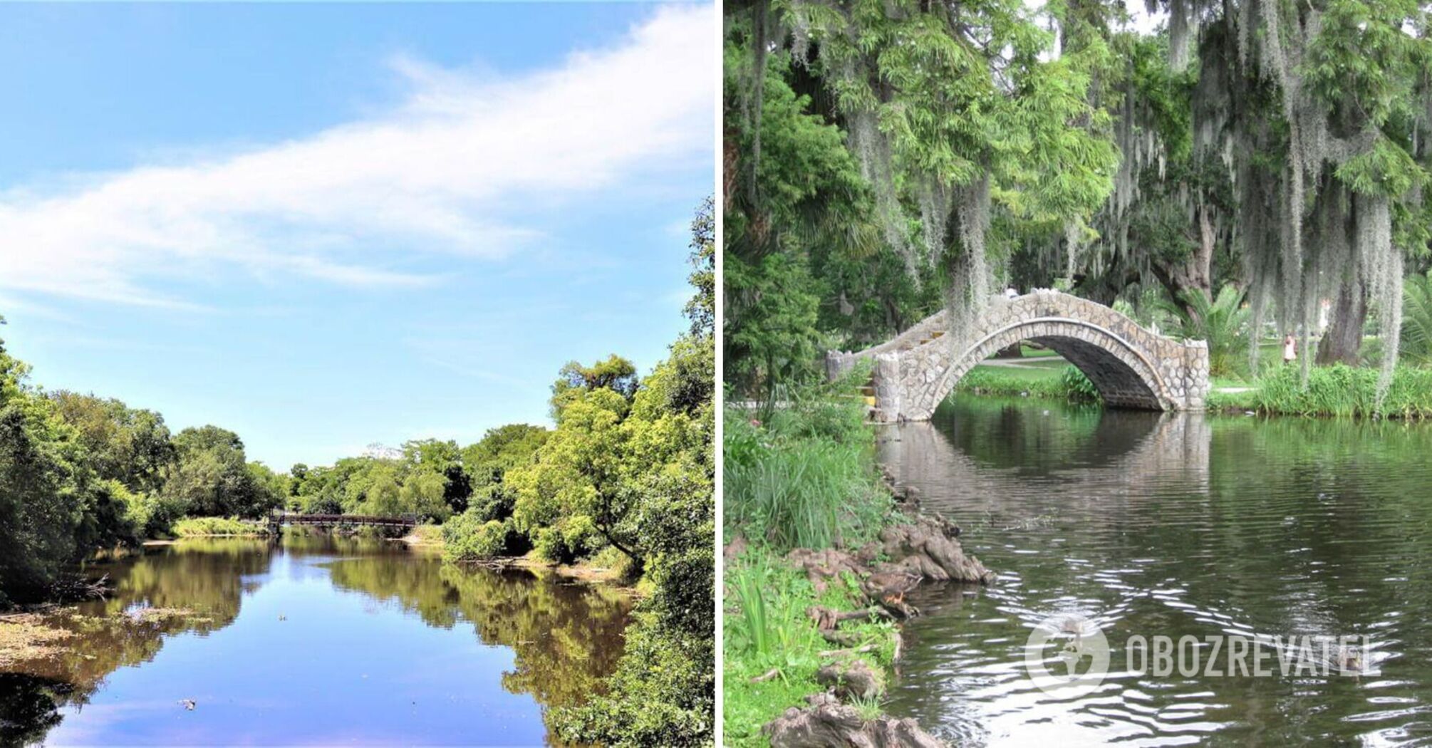 Mysterious creature with a red tail spotted in the US: who could it be?