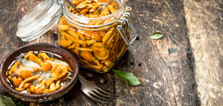 How to preserve butter mushrooms: the easiest way