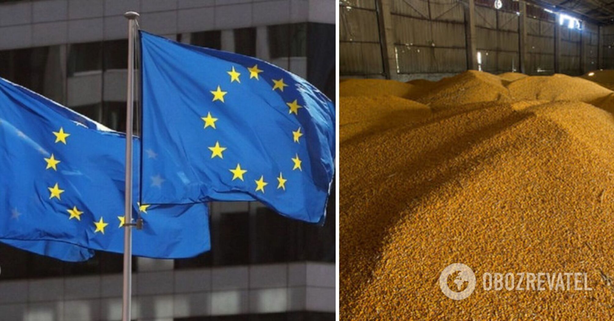 Ukrainian grain goes to a number of EU countries under a simplified procedure