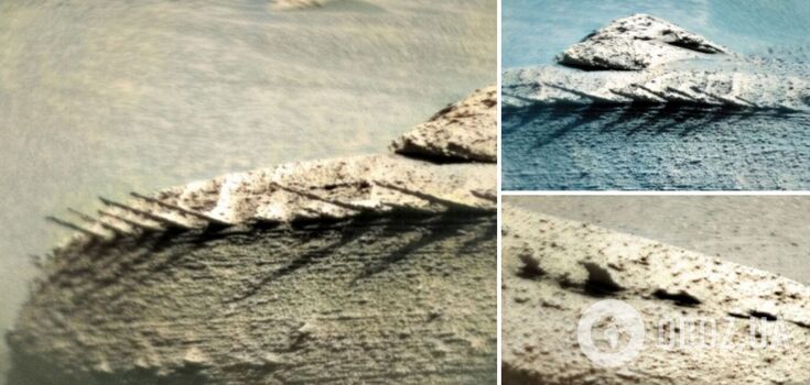 Is it a spine or antennae? Astrobiologist reveals the most bizarre rock in 20 years of Mars exploration