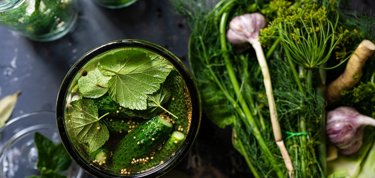 Quick pickleв cucumbers: proportions per liter jar