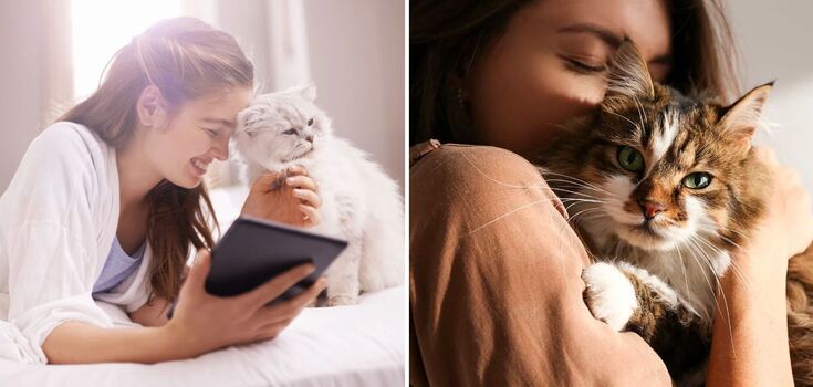 How cats affect female energy: what breeds are best to choose