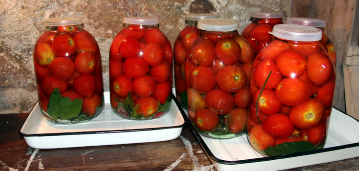 How much salt to ferment tomatoes: proportions for a 3-liter jar