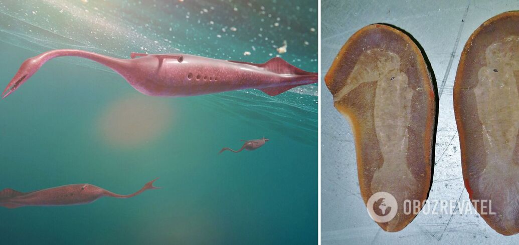 Strange prehistoric monster was mistakenly considered a lost link in evolution: what scientists have learned