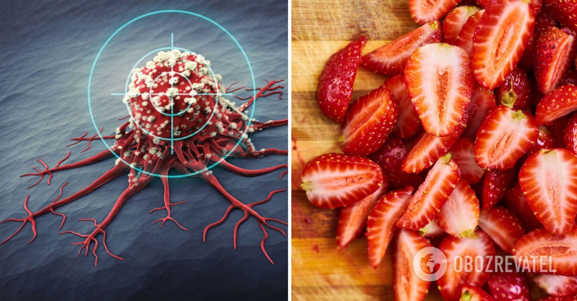 Scientists name 7 foods that can prevent cancer