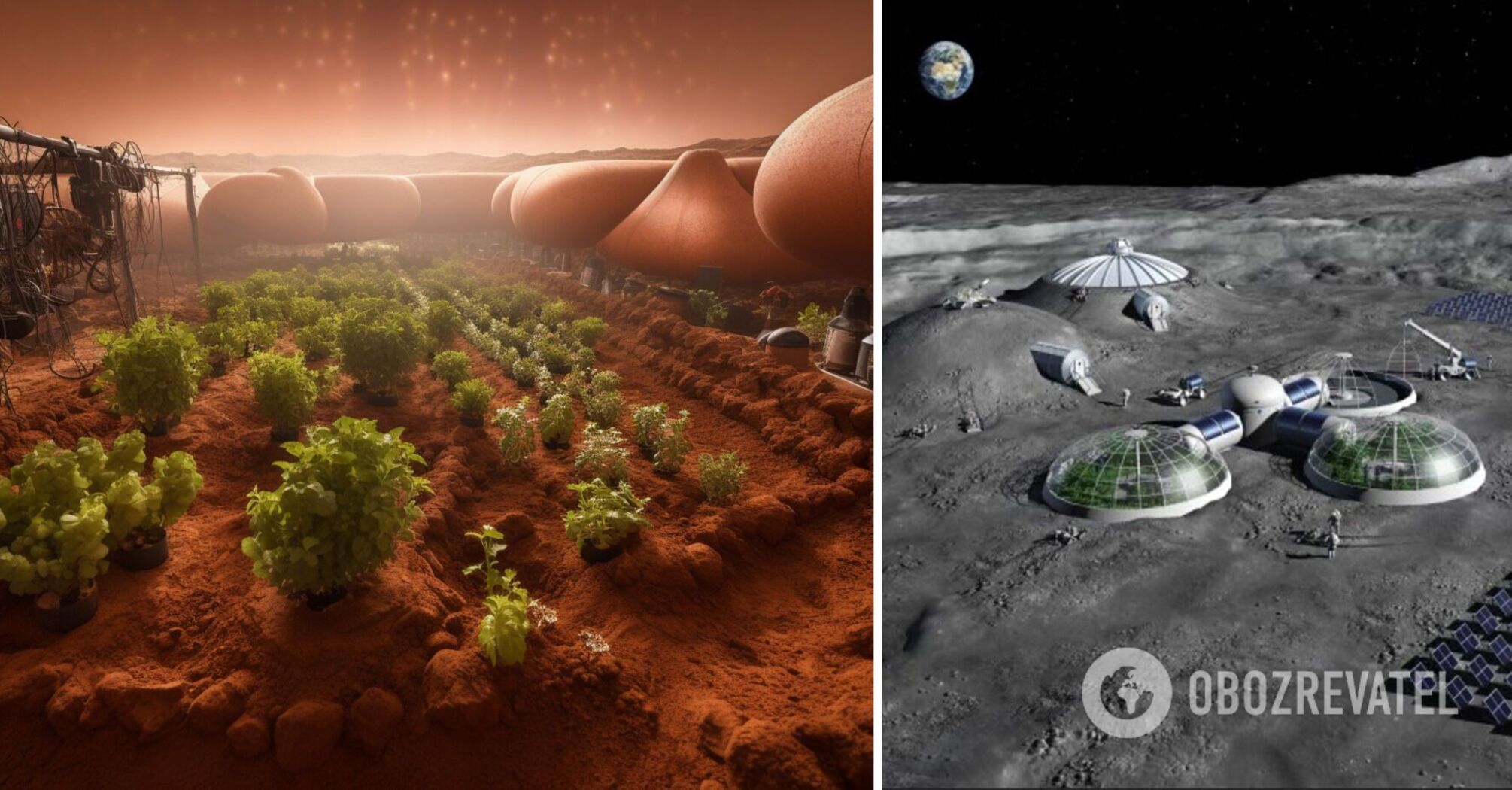 Will people be able to grow plants on the Moon: NASA already knows the answer