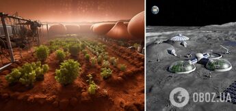 Will people be able to grow plants on the Moon: NASA already knows the answer