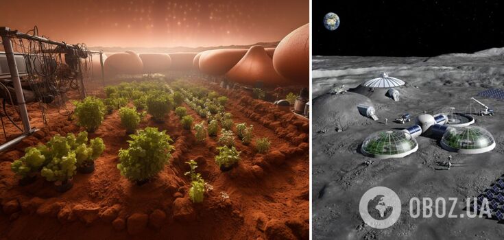Will people be able to grow plants on the Moon: NASA already knows the answer