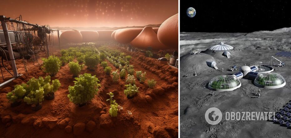 Czy ludzie będą mogli uprawiać rośliny na Księżycu? NASA już zna odpowiedź