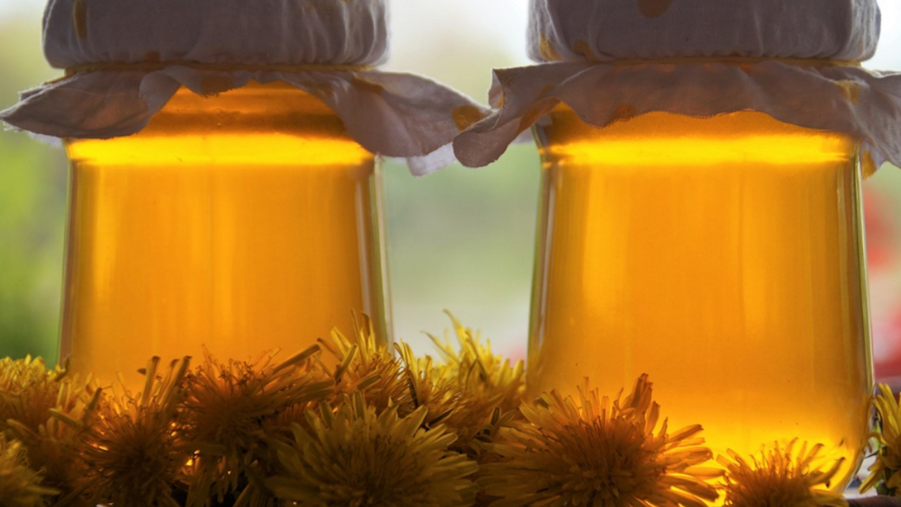 Honey from dandelions: how to cook it correctly to be useful