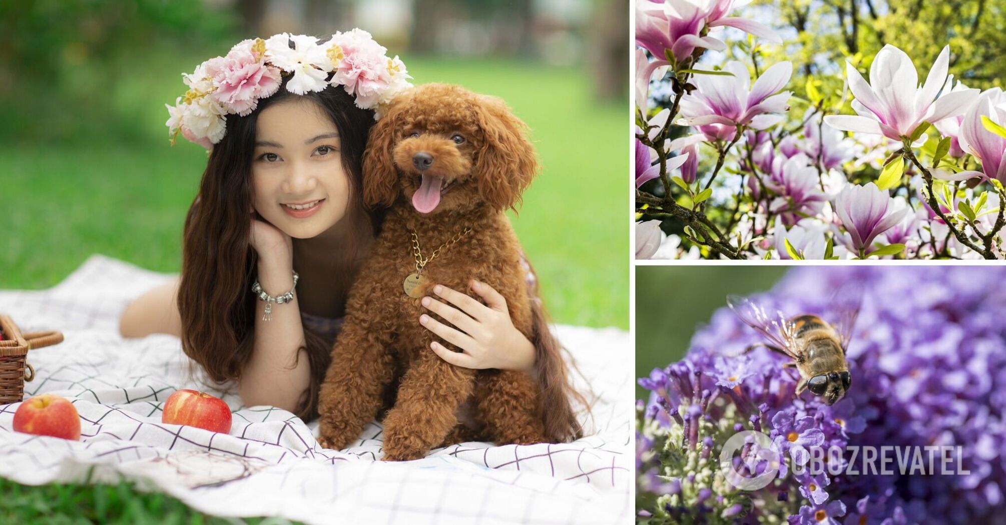 Tulip Field and Sakura Garden: Where to spend a weekend in Kyiv and the region