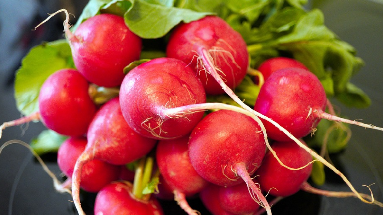 What to make from radishes, except salad: an original idea