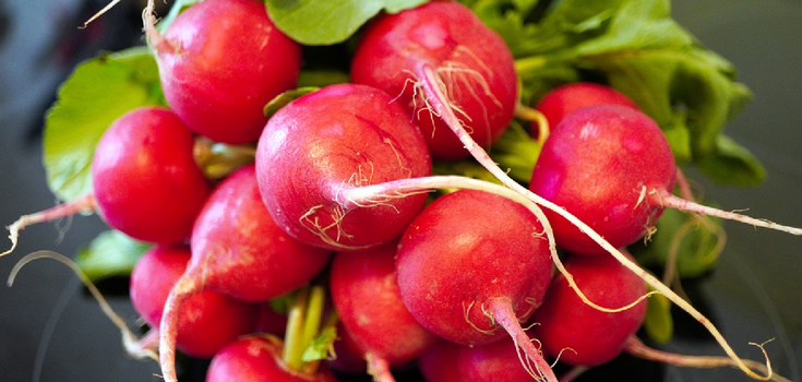 What to make from radishes, except salad: an original idea