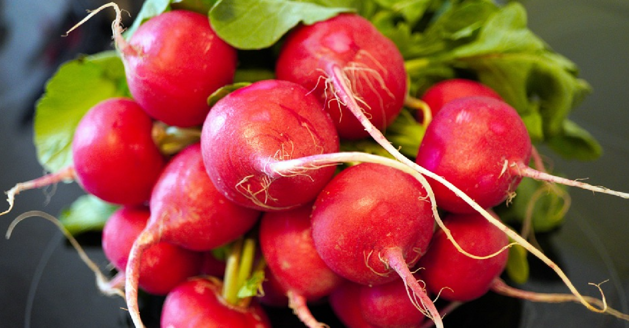 What to make from radishes, except salad: an original idea