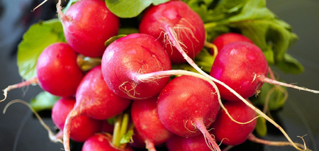 What to make from radishes, except salad: an original idea