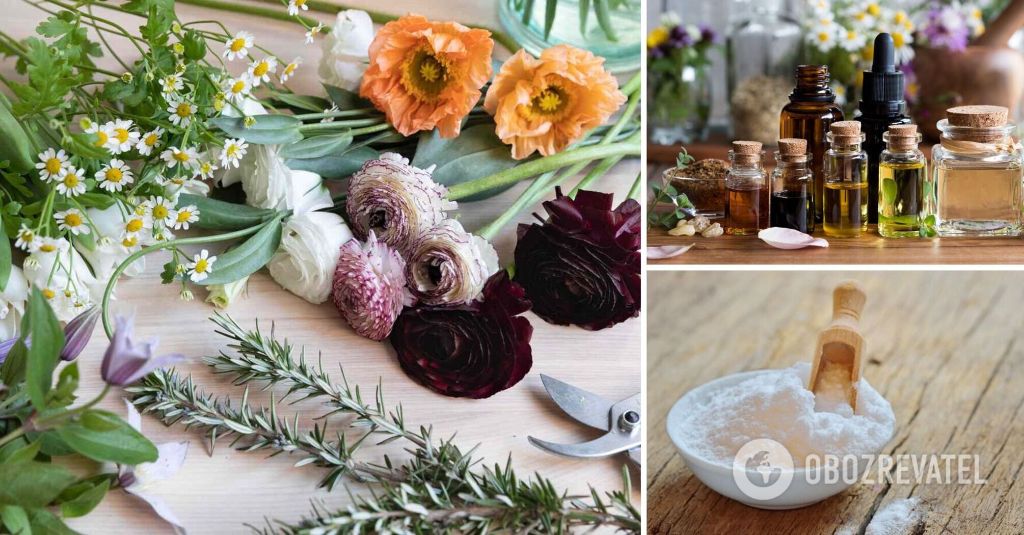 Jak pozbyć się nieprzyjemnych zapachów w domu: 5 szybkich sposobów