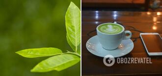 Benefits are underestimated: the benefits of green tea consumption are named