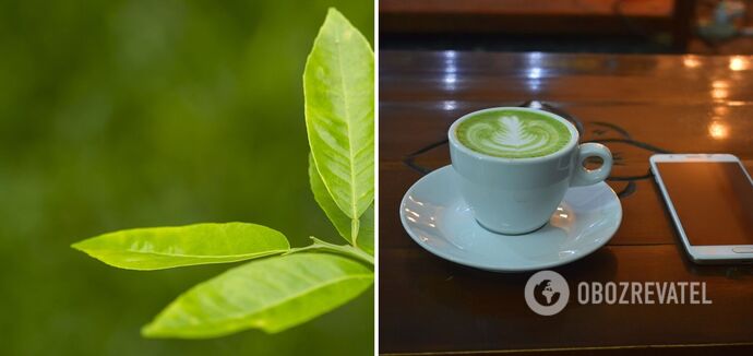 Niedoceniane korzyści: wymienione korzyści ze spożywania zielonej herbaty