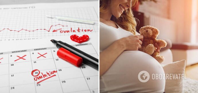 Doctors gave advice to those who want to get pregnant faster