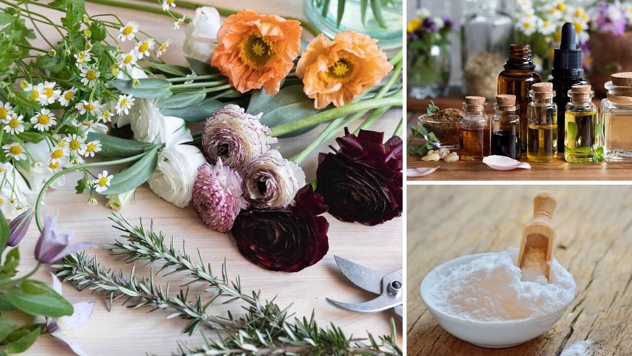 How to get rid of unpleasant odours at home: 5 quick ways