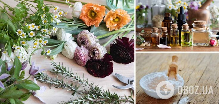How to get rid of unpleasant odours at home: 5 quick ways