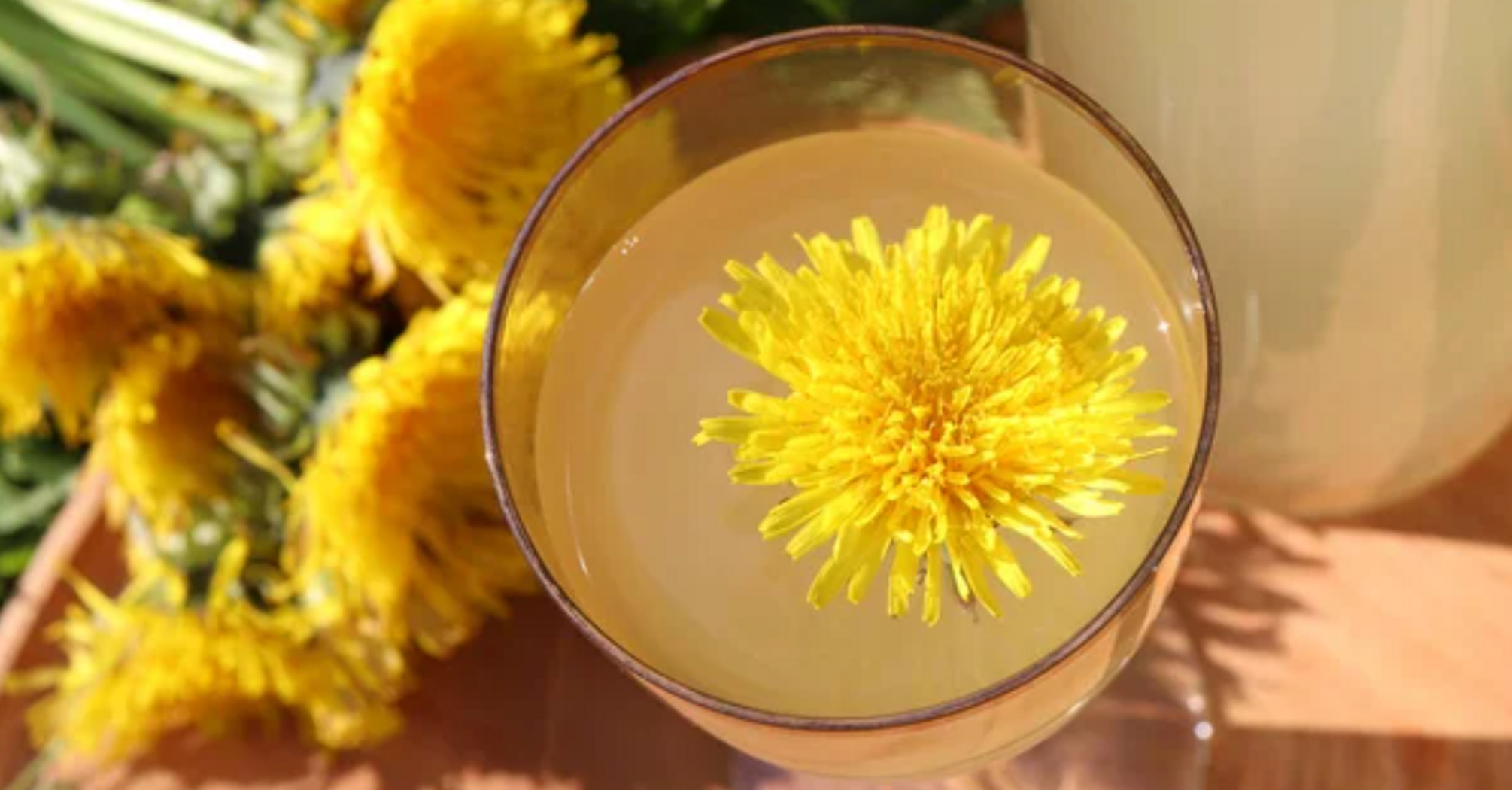 Homemade dandelion wine: what you need to know when making a drink
