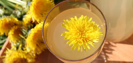 Homemade dandelion wine: what you need to know when making a drink