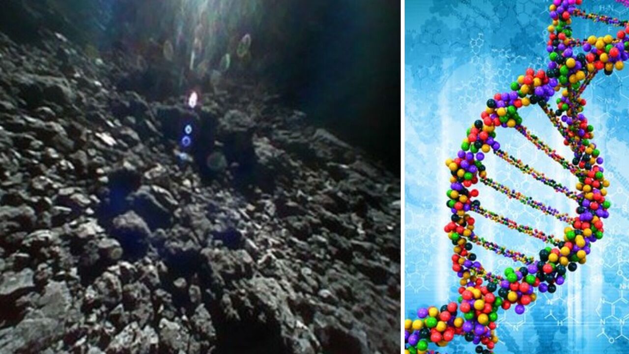 Possible solution to the mystery of the emergence of life on Earth discovered on a distant asteroid