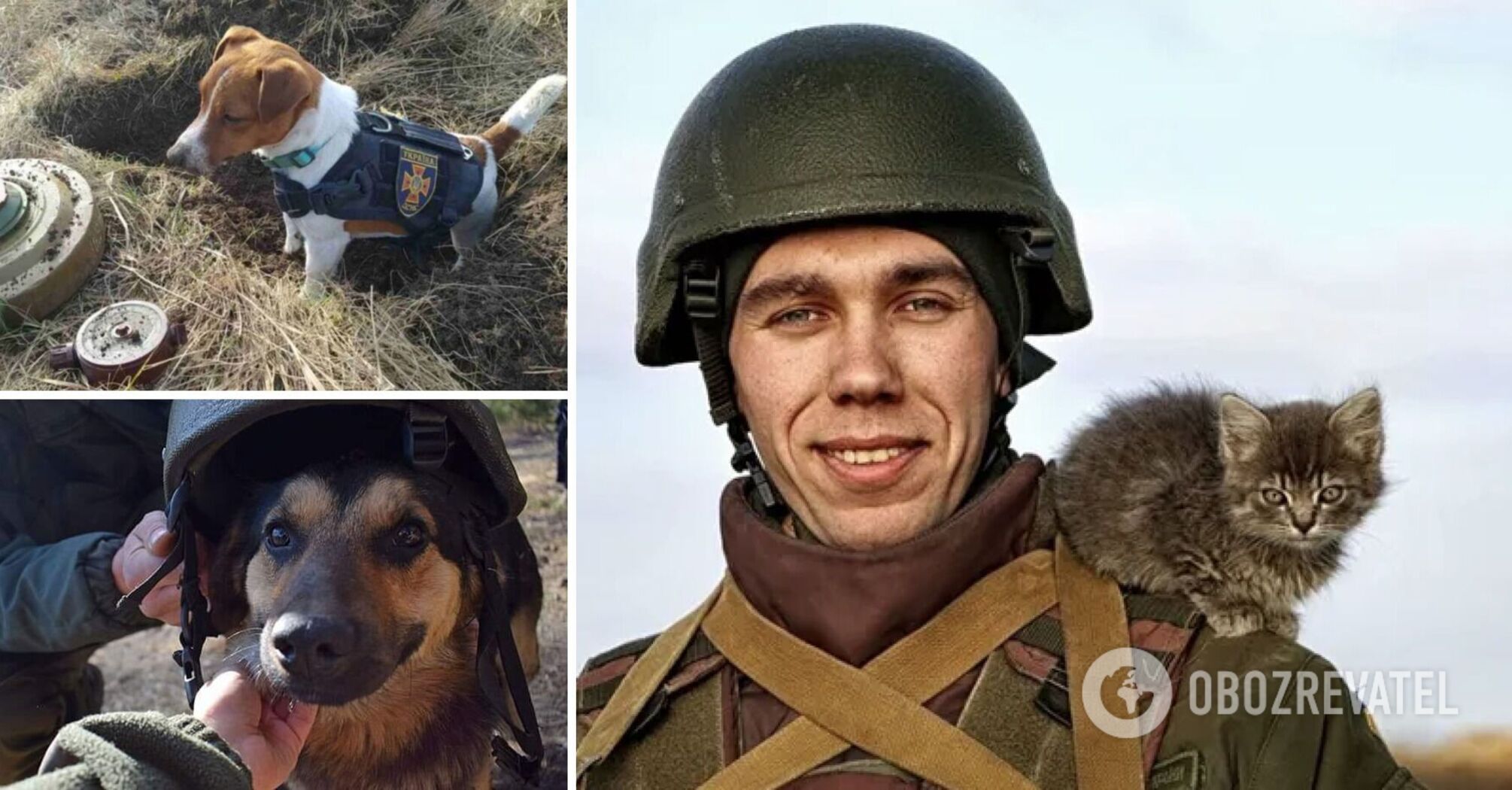 Military personnel get pets