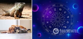 Which pet is right for you according to your zodiac sign: zoo horoscope