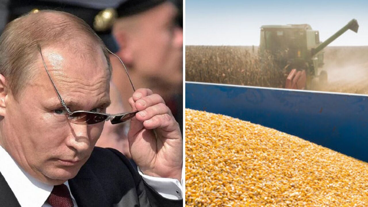 The Russian grain market will change