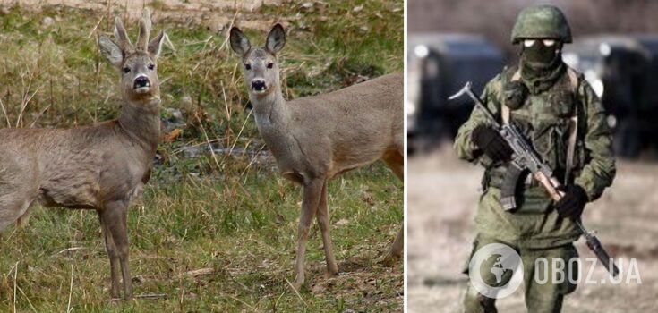 Occupiers killed Red Book animals in the Askania Nova reserve. Photo.