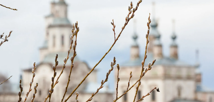 What not to eat on Palm Sunday: the main prohibitions of the day