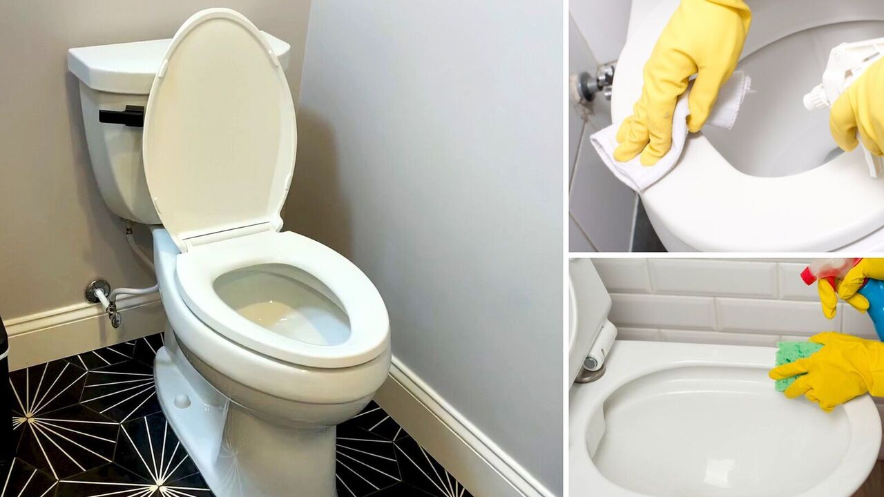 How to clean a yellowed toilet seat: grandma's tips