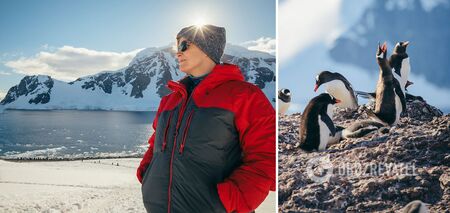 Journey to the ends of the world: What is interesting about Antarctica and is it possible to get there a tourist