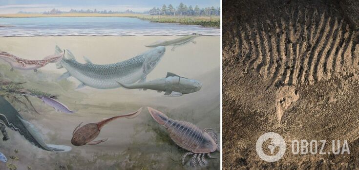 Giant fish hunted the ancestors of humans on Earth: scientists have reconstructed its skeleton for the first time